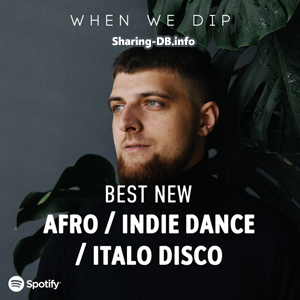 When We Dip Best New Afro & Indie Dance & Italo Disco Tracks November 2021